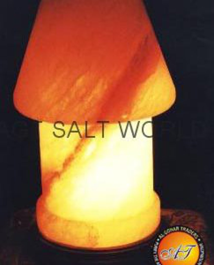 fancy salt lamp