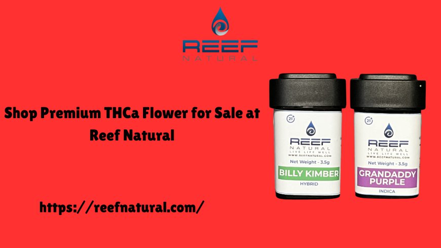 Shop Premium THCa Flower for Sale at Reef Natural