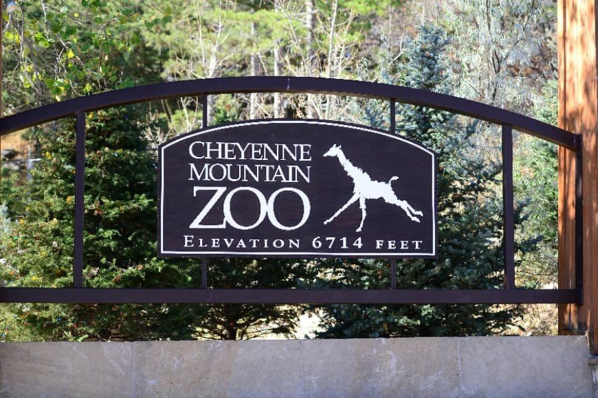 Exploring Nature's Wonders: Cheyenne Mountain Zoo and Helen Hunt Falls