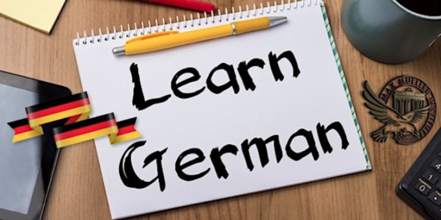 What Are the Key Differences Between Standard German and Dialects?