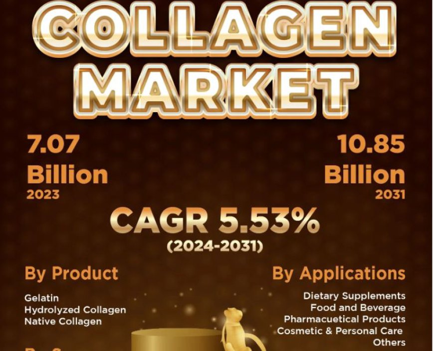 Collagen Market Analysis, Development Trend and Investment Feasibility 2031