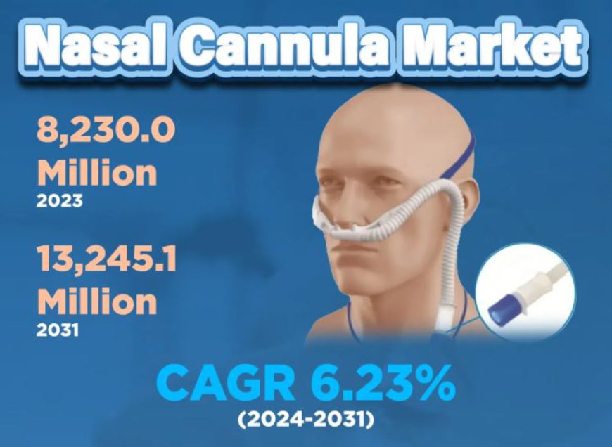 Nasal Cannula Market 2024 Trends, Market Share, Industry Size, Opportunities, Analysis and Forecast by 2031 |