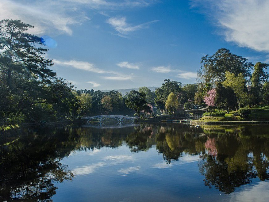 Ward's Lake: A Tranquil Escape in Shillong