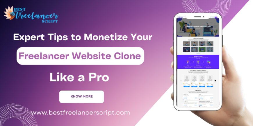 Expert Tips to Monetize Your Freelancer Website Clone Like a Pro