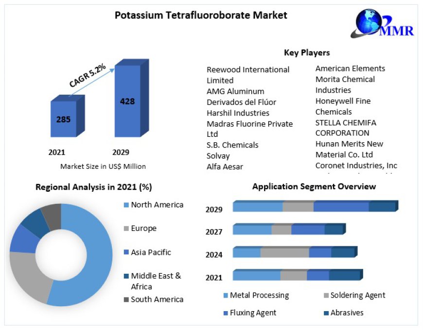 Potassium Tetrafluoroborate Industry Outlook: Growth Projections Through 2029