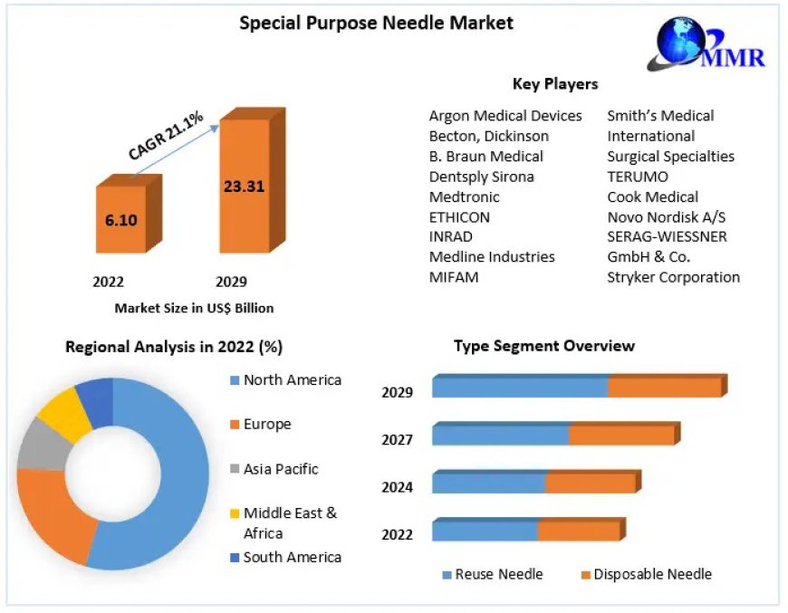 Special Purpose Needle Industry: Forecasting Growth and Trends Through 2029