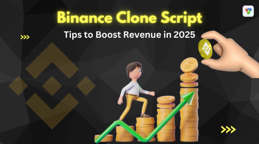 Tips to Boost Revenue in 2025 with a Binance Clone Script