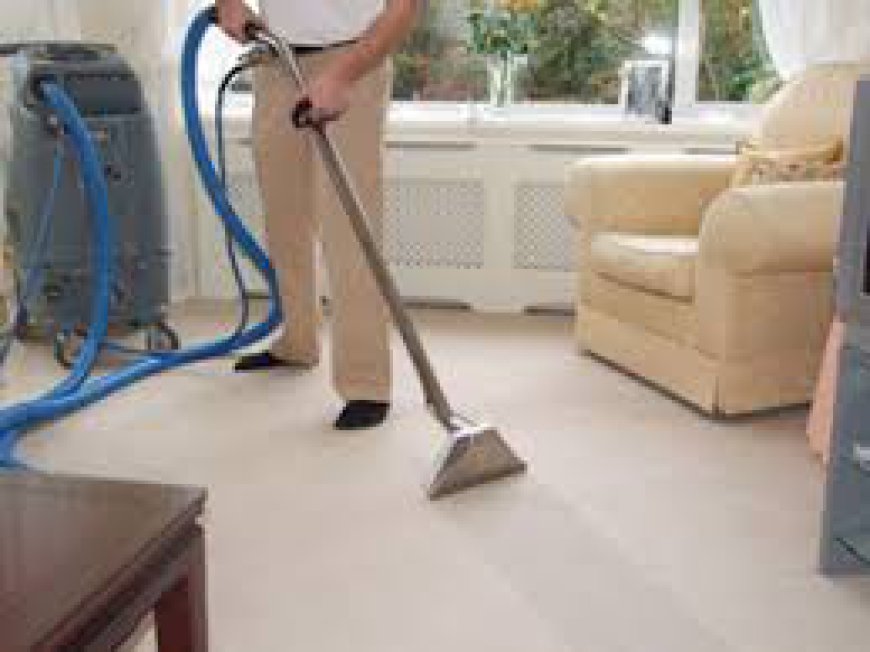 Professional Carpet Cleaning: The Secret to a Fresh Home