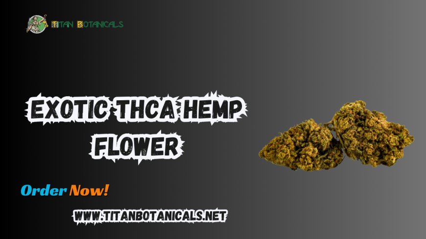 Premium Exotic THCA Hemp Flower at Titan Botanicals