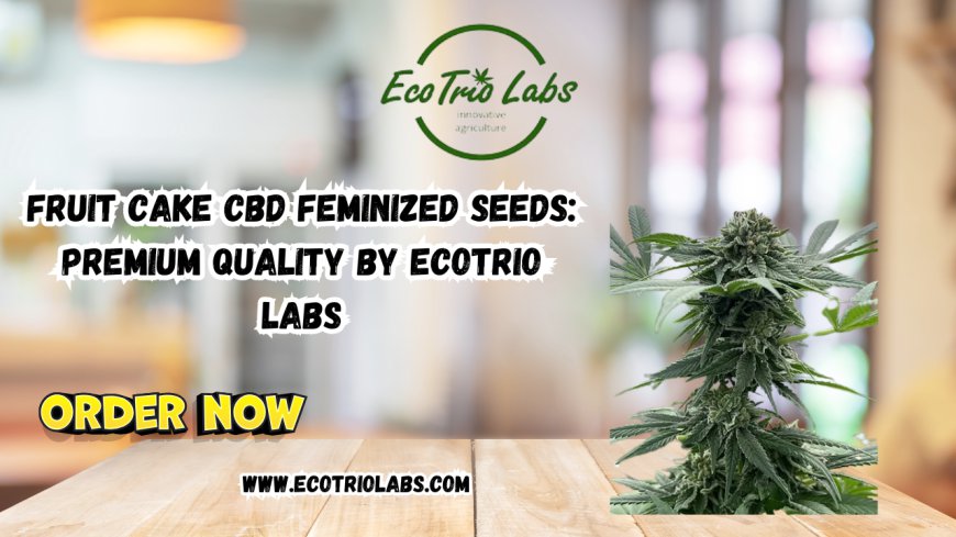 Fruit Cake CBD Feminized Seeds: Premium Quality by Ecotrio Labs