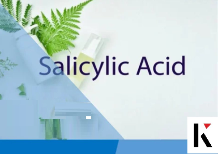 Salicylic Acid Market Investment Opportunities, Share and Trend Analysis Report