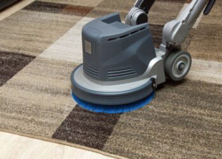 The Connection Between Carpet Cleaning and Home Comfort