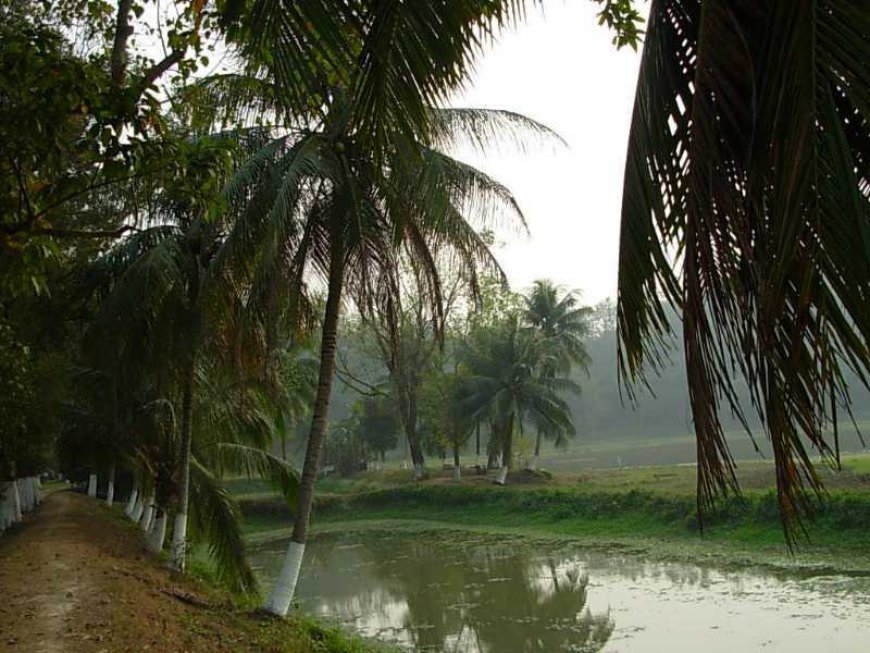 Sualkuchi: The Silk Village of Assam