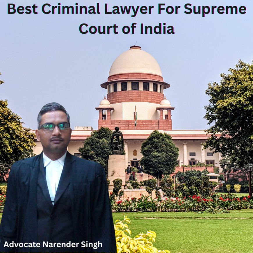 Advocate Narender Singh: The Best Criminal Lawyer for Supreme Court of India