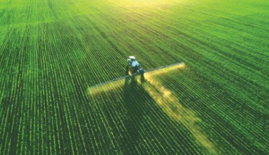 Agrochemicals Market Analysis, Trends & Forecast