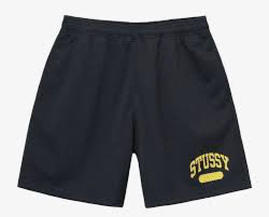 The Resale Value of Stussy Shorts Products 2024