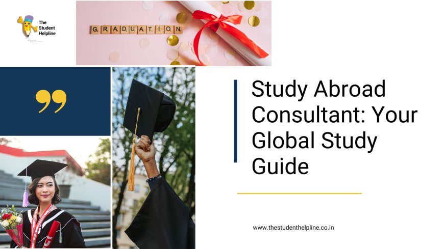 Study Abroad Consultant: Your Global Study Guide