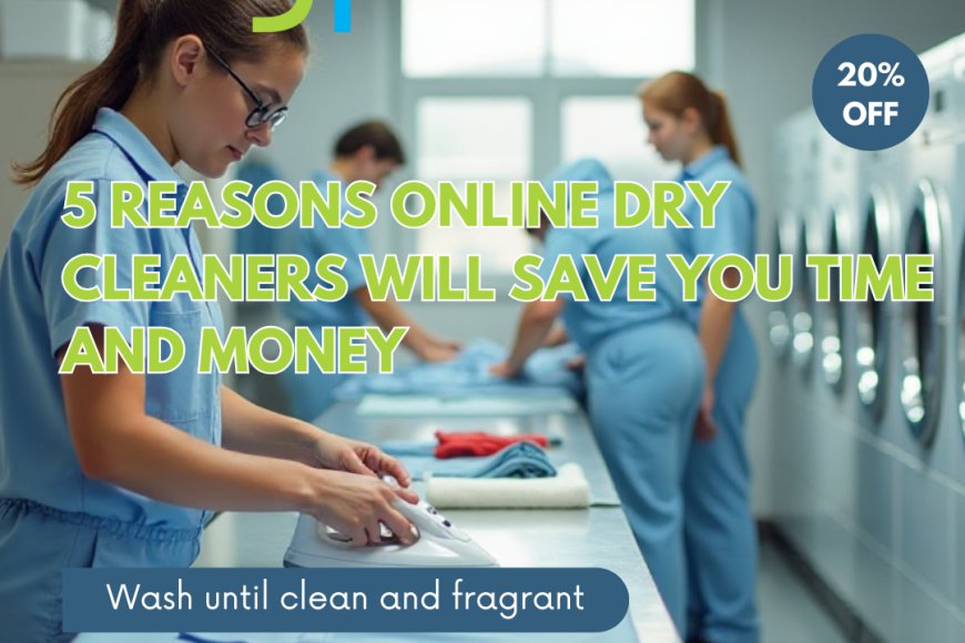 5 Reasons Online Dry Cleaners Will Save You Time and Money - Premium Blogging Platform