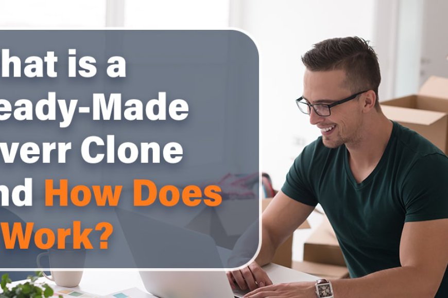 What is a Ready-Made Fiverr Clone and How Does It Work? - Premium Blogging Platform