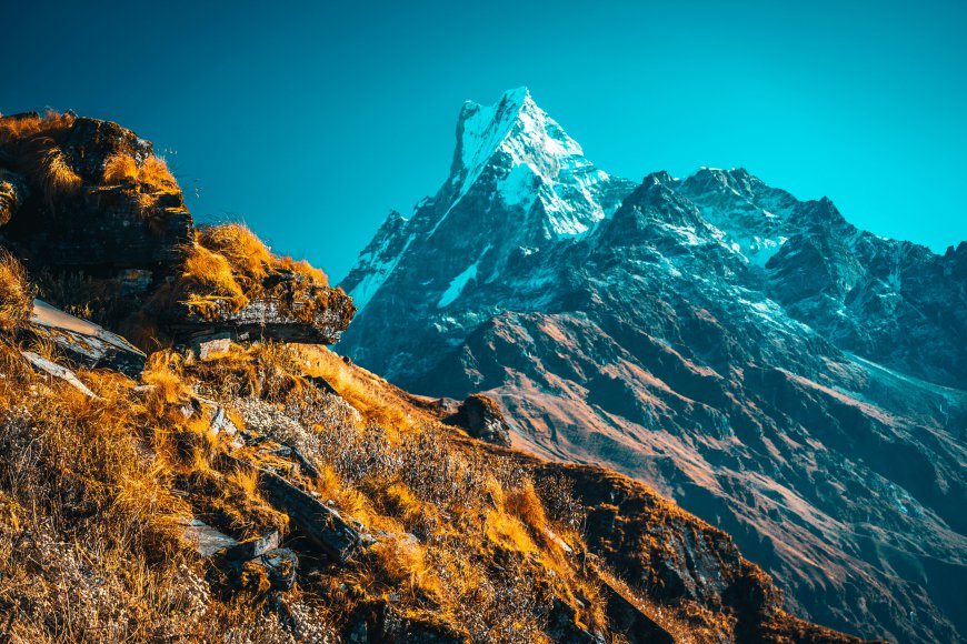 Mardi Himal Trekking: Your Epic Himalayan Adventure Awaits!