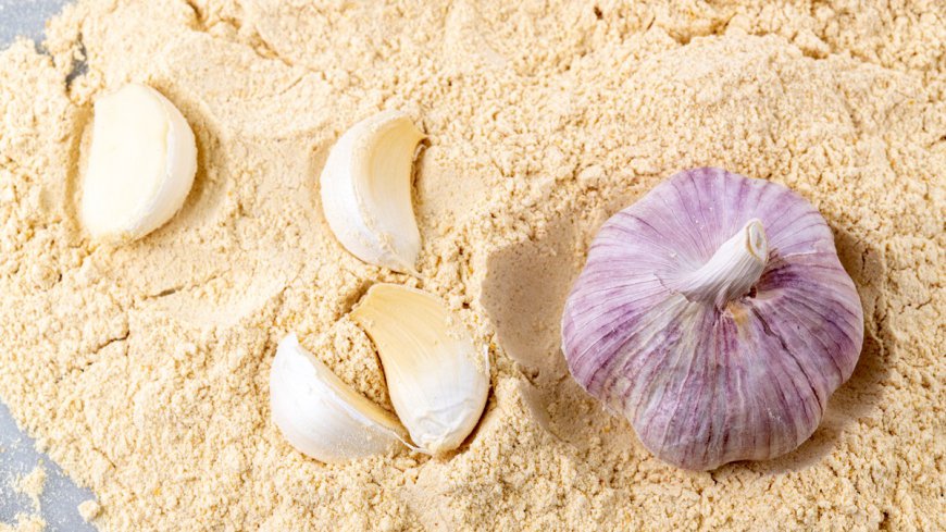 Establishing a Profitable Garlic Powder Manufacturing Plant Report 2024, Project Cost Details