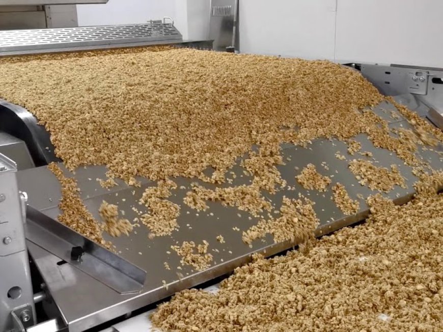 Comprehensive Approach to Setting Up a Granola Manufacturing Plant | IMARC Group Report