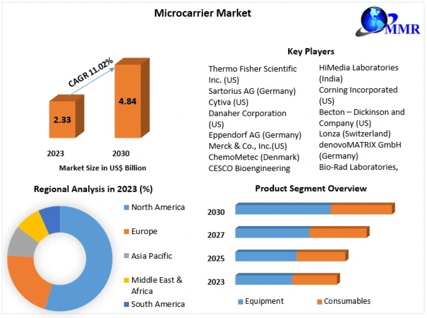 Microcarrier Market Metrics Matrix: Segmentation, Outlook, and Overview in Market Dynamics | 2024-2030