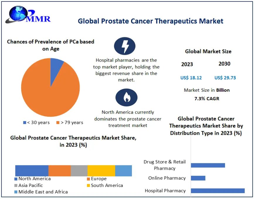 Prostate Cancer Therapeutics Market Statistical Spectrum: Exploring Segmentation, Outlook, and Market Trends | 2024-2030