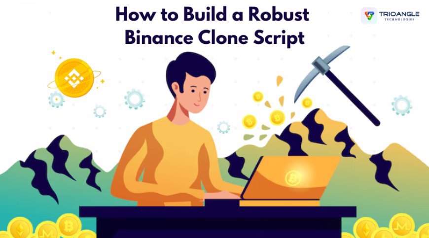 How to Build a Robust Binance Clone Script?