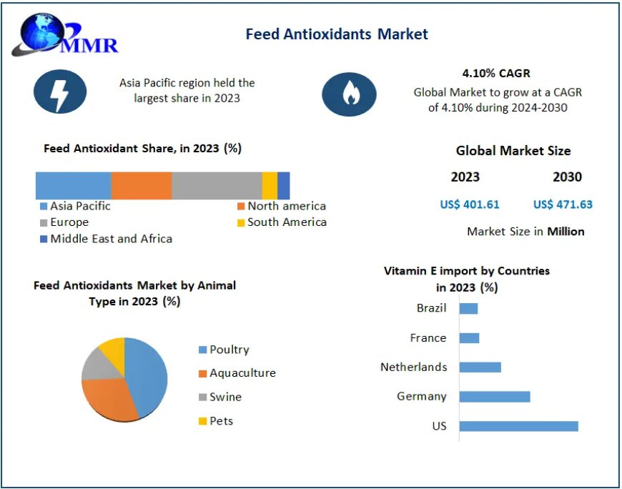 Feed Antioxidants Market Segmentation, Outlook, and Overview in Market Trends | 2024-2030