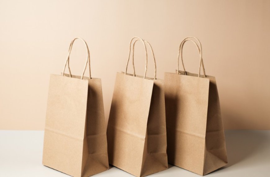 Report on Paper Bag Manufacturing Plant Setup with Cost Analysis and Requirements