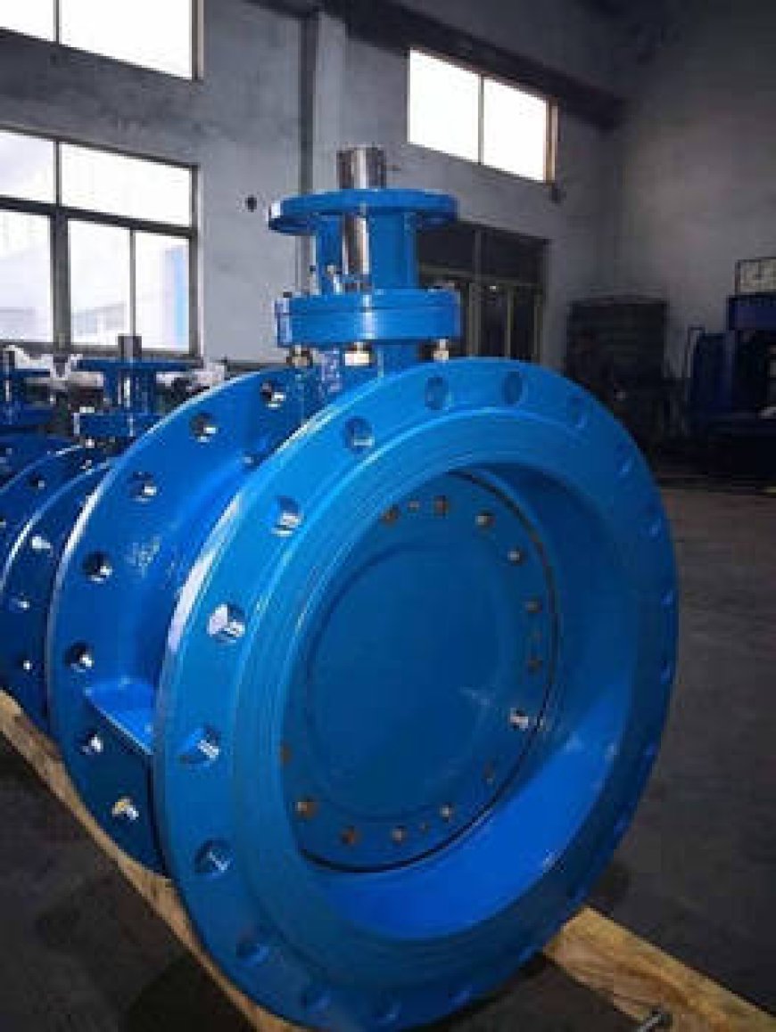 Double Offset Butterfly Valve Manufacturer in USA