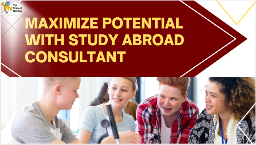 Maximize Potential with Study Abroad Consultant