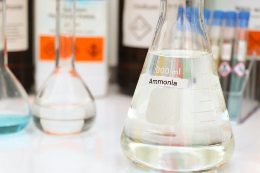 Report on Ammonia Manufacturing Plant, Machinery, Cost and Raw Material Requirements