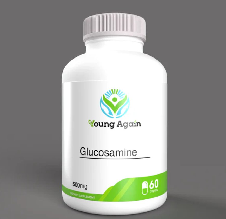 Discover the Best Glucosamine Supplement: Why L Glutamine Pills Could Be Your Ideal Choice for Joint Health