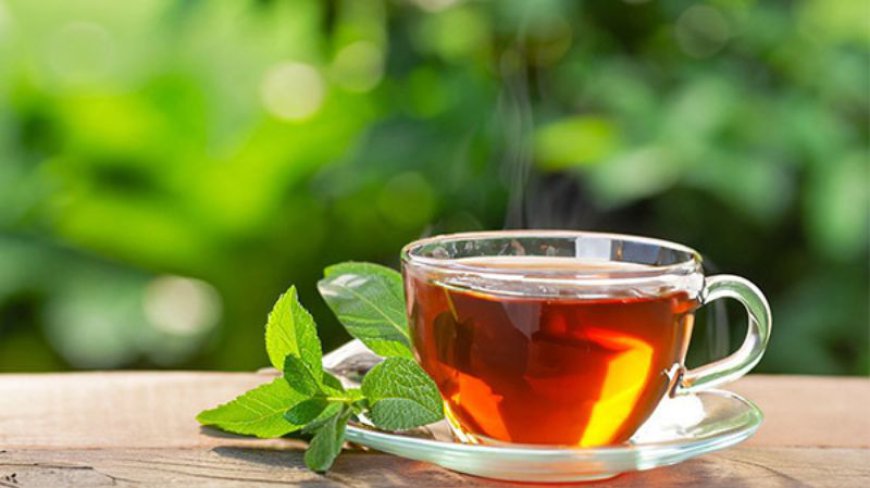 El Crecimiento del Mercado Global de Té: Tendencias y Proyecciones hasta 2032