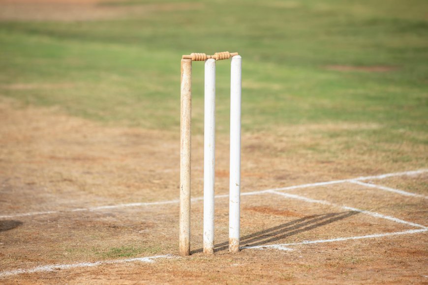 Stumps Meaning in Cricket: Breaking It Down for You