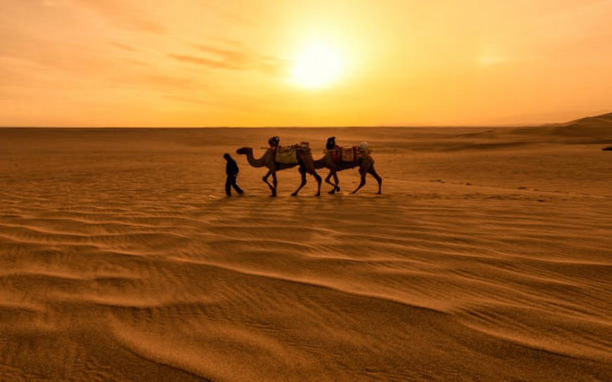 Top Tips for an Evening Desert Safari Adventure in Dubai