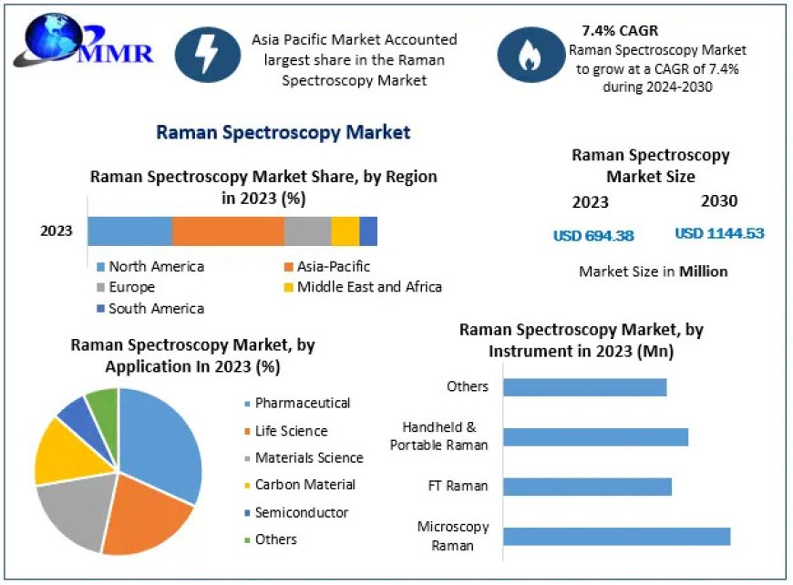 Raman Spectroscopy Market Insights: Key Drivers and Opportunities by 2030