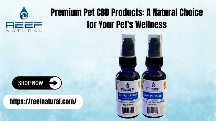 Premium Pet CBD Products – CBD Pet Drops | Reef Natural