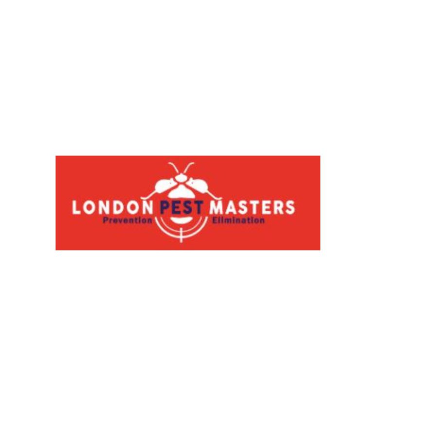 Comprehensive Bedbug Control Service in London - Pest Masters