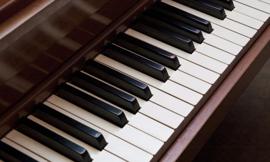 Take a Guide for Choosing the Right Piano Moving Company in Sydney