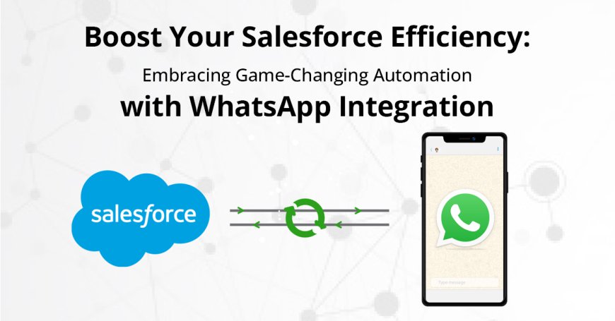 Salesforce and WhatsApp Integration: Transforming B2B Customer Interactions