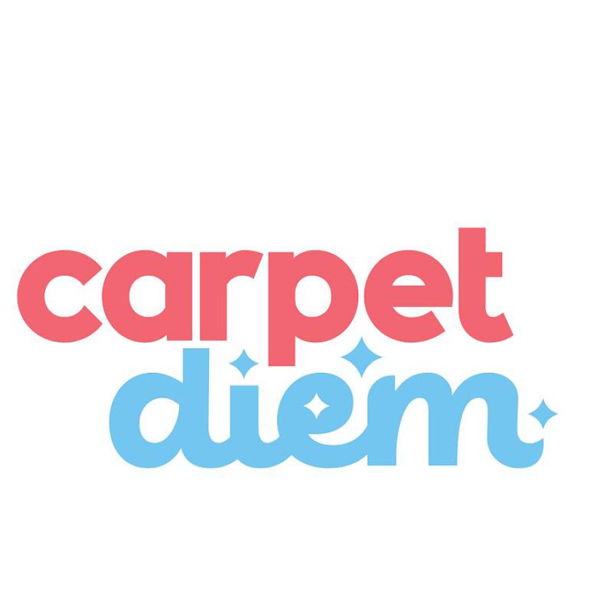 Premium Leather Cleaning and Mould Remediation Services by Carpet Diem in Lake Macquarie and Newcastle