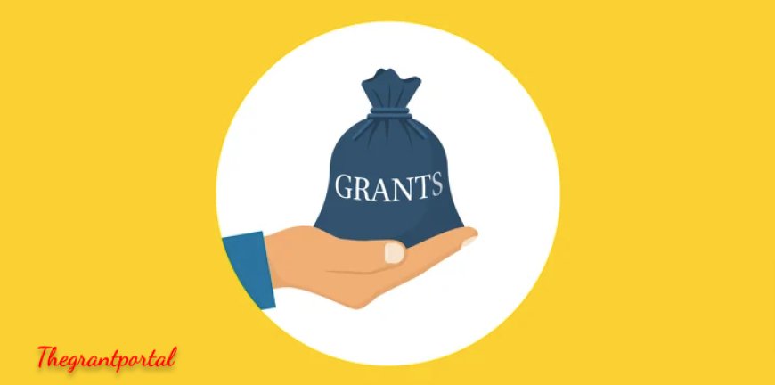 Grants for Nonprofits: Unlocking Opportunities with The Grant Portal