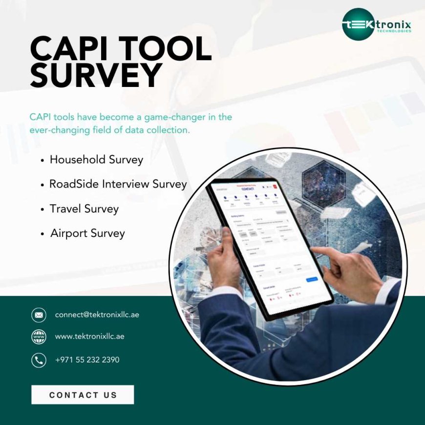 CAPI-Based Income Survey in the UAE: A Comprehensive Overview