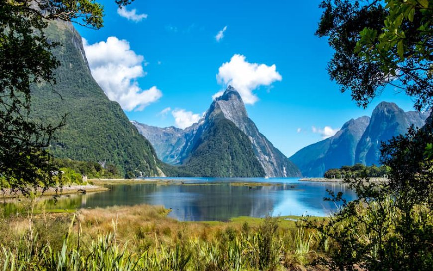 The Most Beautiful Road Trips in New Zealand