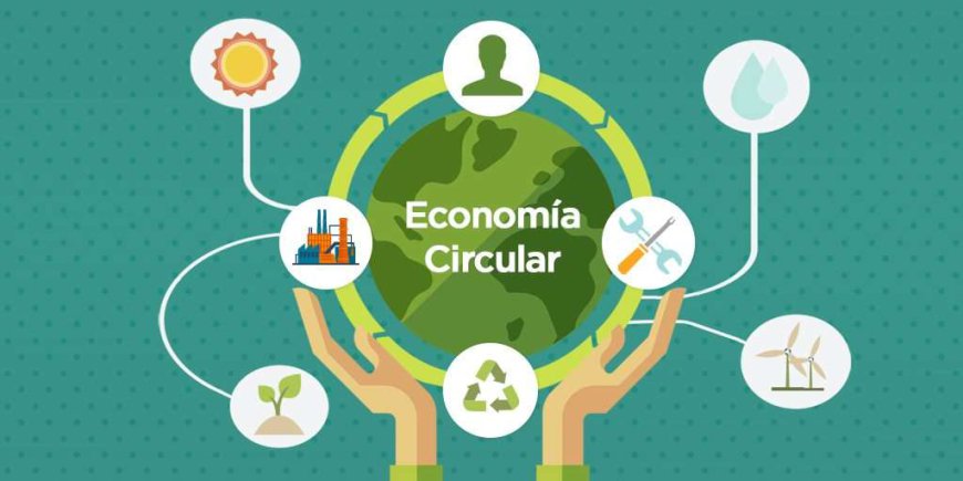 Economía Circular en México: Hacia un Futuro Sostenible