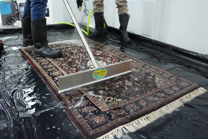 Experience the Ease of Rug Cleaning with Pickup and Delivery