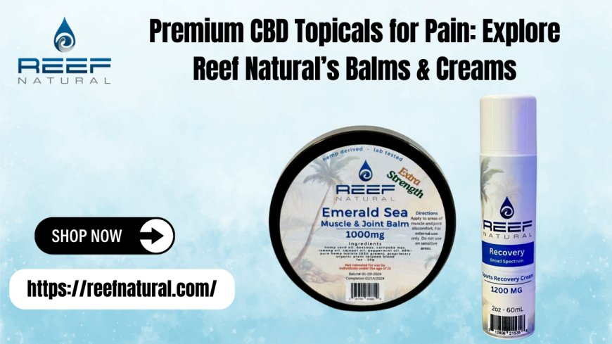 Premium CBD Topicals for Pain | Reef Natural Balms & Creams